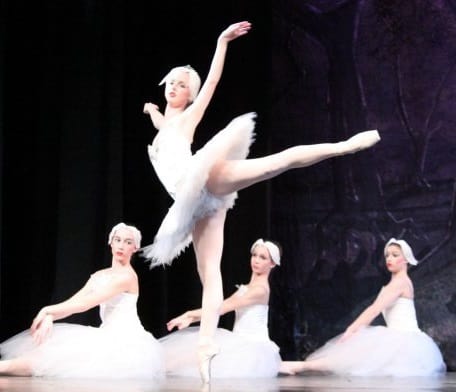 swan2